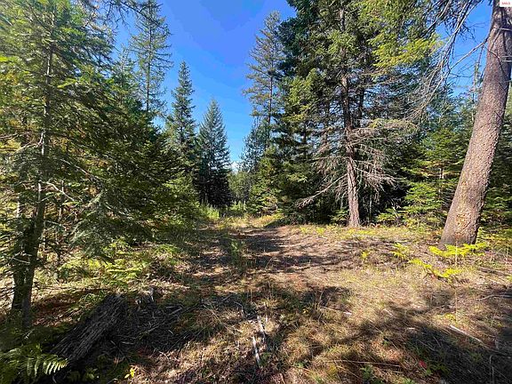 5th image of Nna Wolverine Rd Tract 1