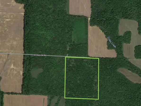 0 Dickeyville Rd, Tennyson, IN 47637