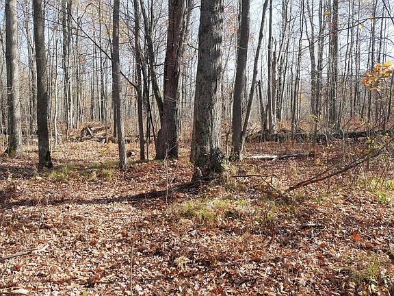 4th image of +/-5.17 Acres COUNTY LINE ROAD