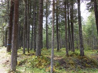 913 Cannon Rd, Packwood, WA 98361