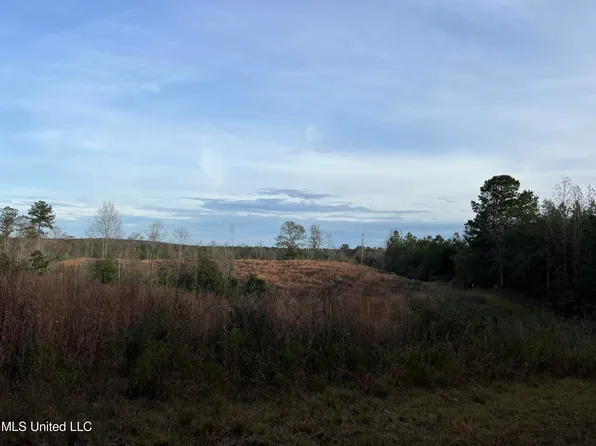 16 Sixteenth Section Rd, Magee, MS 39111