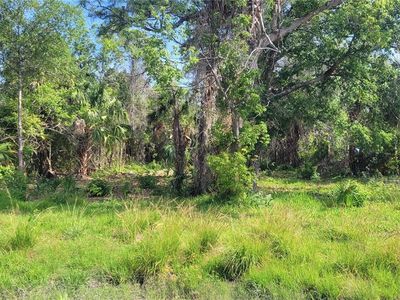 Lot 40 NEEDLES DRIVE LOT 40, Hudson, FL, 34667