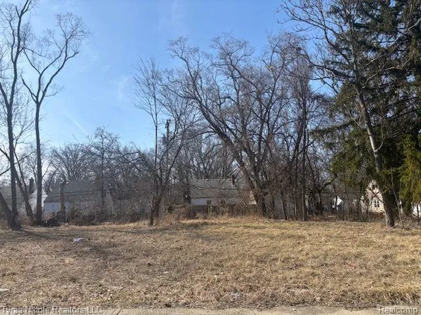 18149 Vaughan St, Detroit, MI 48219