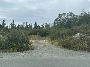 2-6 Vineyard Drive, Paradise, NL A1L3V9