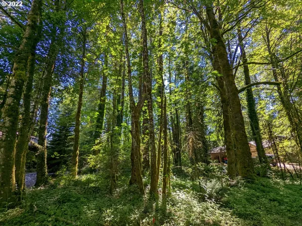 24557 E Bright Ave, Welches, OR 97067