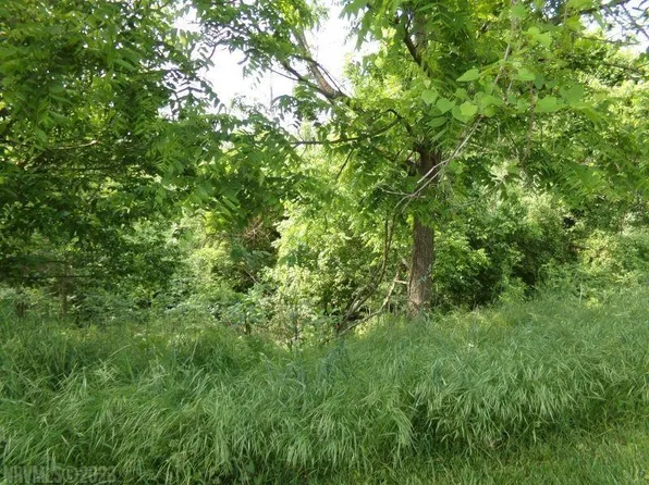 LOT 62 Horseshoe Farm Rd, Pembroke, VA 24136