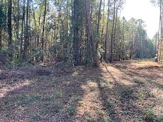 2nd image of 120 Grace Ln