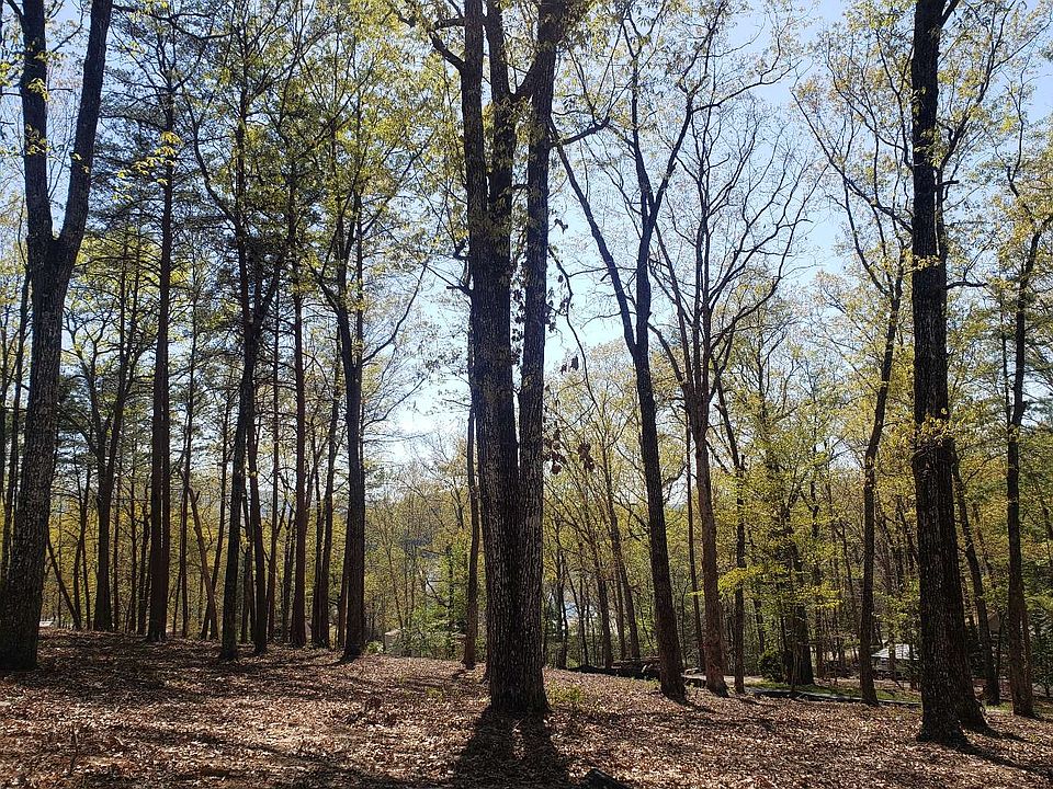 2nd image of Lake Cove Dr