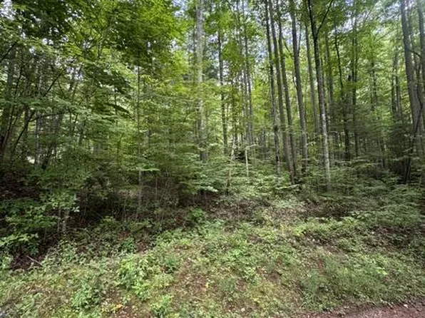 1285 Hemlock Falls Dr, Sylva, NC 28779