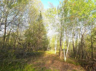 0 Starch Rd, Bruno, MN 55712