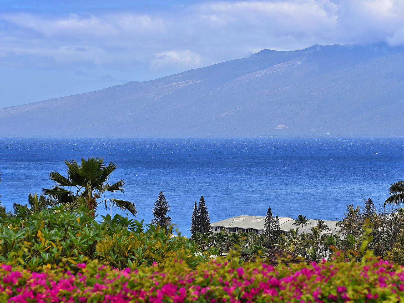 50 Puu Anoano St APT 4201