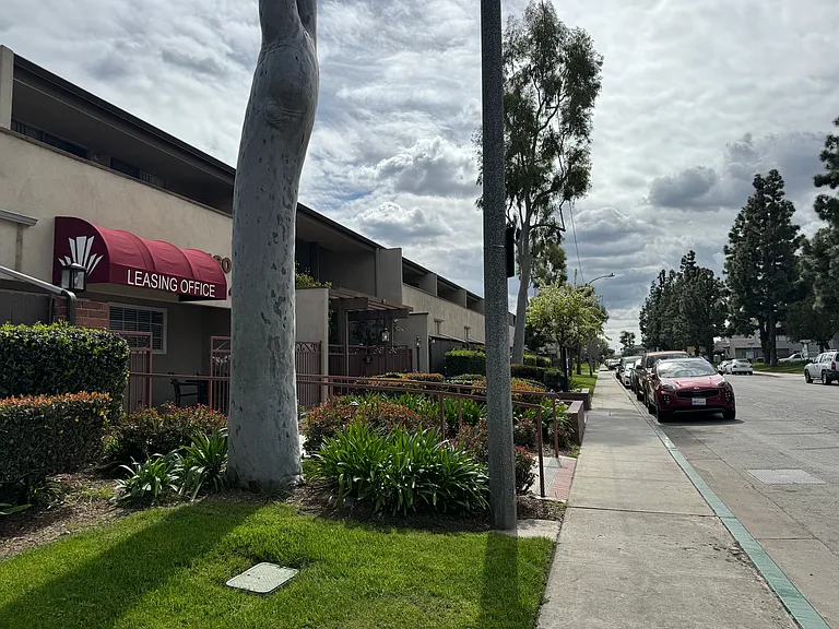 Colony Frontera — Photo 23