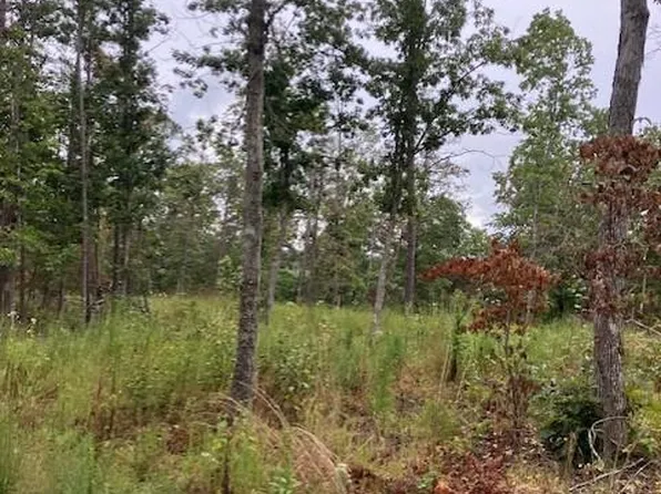 156 Madison St #410, Fredericktown, MO 63645