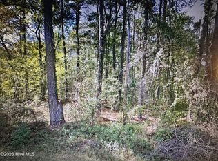 88 Near Oak Rd, Lake Waccamaw, NC 28450