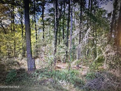 Near 88 Oak Road, Lake Waccamaw, NC, 28450