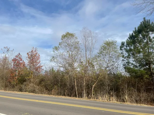 Nauvoo Rd, Nauvoo, AL 35578