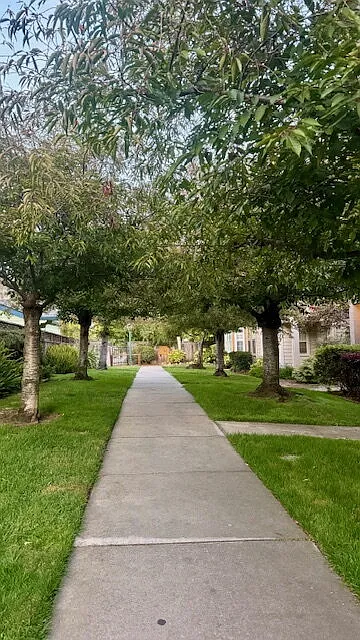 3 bed, 2.5 bath, 1875 sqft, $5,500 — Photo 3