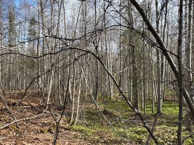 48601 S Bendapole Rd, Talkeetna, AK, 99676