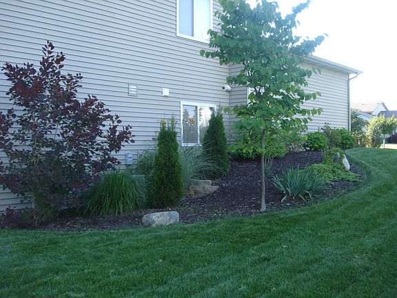 professional landscaping