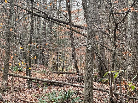 5th image of Barnes Hill Rd Lot 12