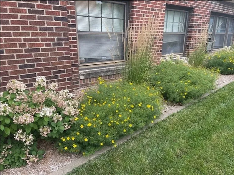 The Brady Apartments — Photo 7