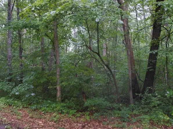 LOT 52 N Shady Lane Loop, Clarkrange, TN 38553