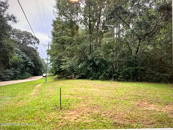 LOT 5B Anglers Point, Lumberton, MS 39455