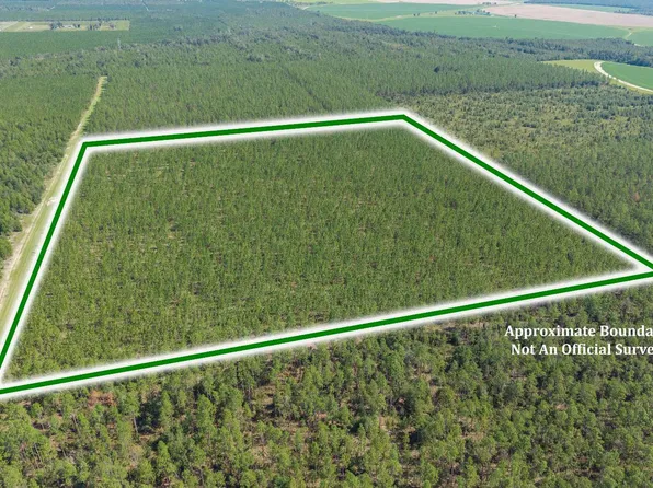 Tbd Se Schooner Way, Lee, FL 32059