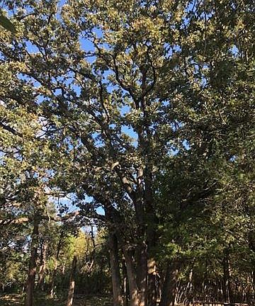 3rd image of 2413 County Road 1081