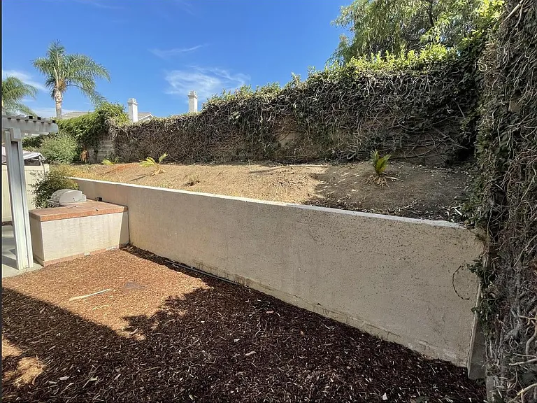 back yard
