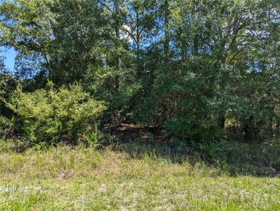 Bud Crum Rd #4-5-6, Panacea, FL, 32346
