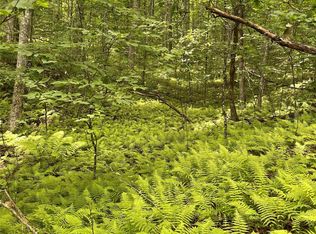 25 Rainbow Trout Dr #25, Tuckasegee, NC 28783