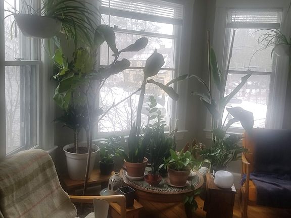 5th image of 35 Kendrick Pl APT 2F