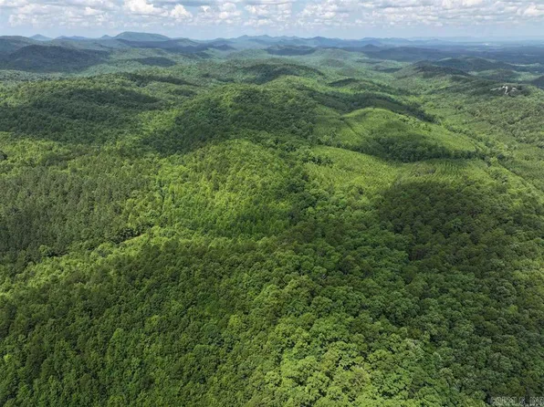 Polk Road 1 Lot 61, Mena, AR 71953