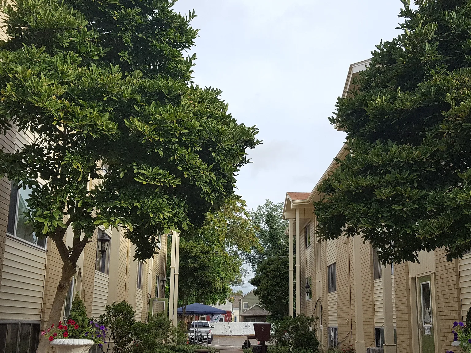 Elm Grove Apartments — Photo 1