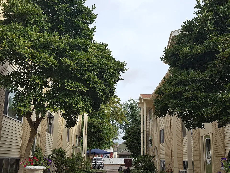 Elm Grove Apartments