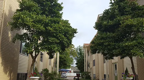 Elm Grove Apartments Photo 1