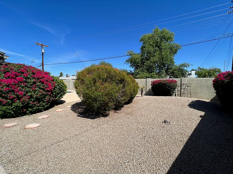 8241 E Cypress St — Photo 26