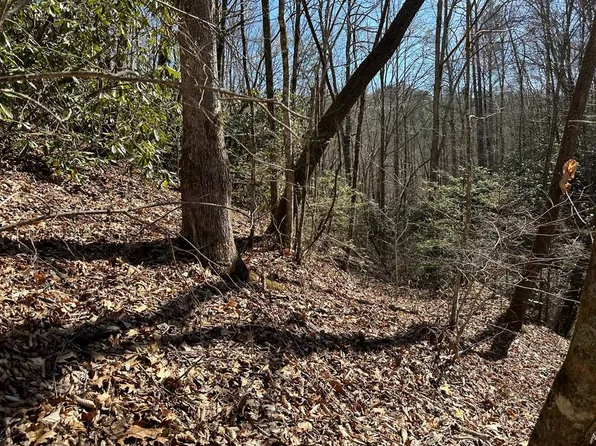 7 Valley View Heights Ln, Andrews, NC 28901