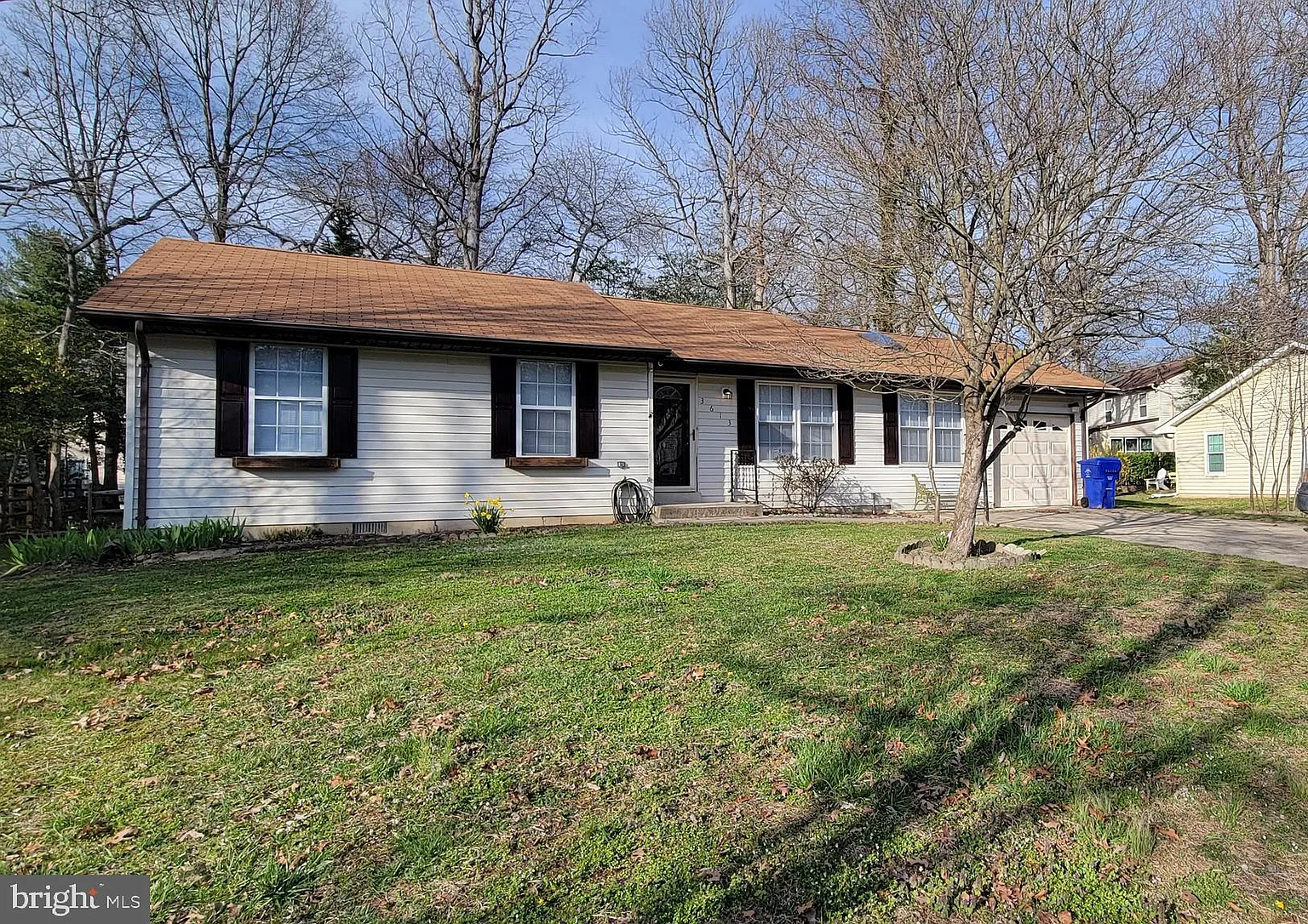 3613 Sassafras Dr photo 1