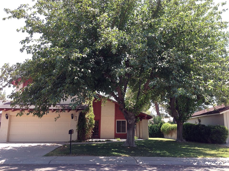 love the mulberry trees!