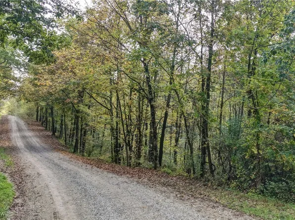 11605 McConnelsville Rd, Caldwell, OH 43724