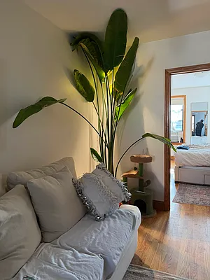 Living room, photo 2