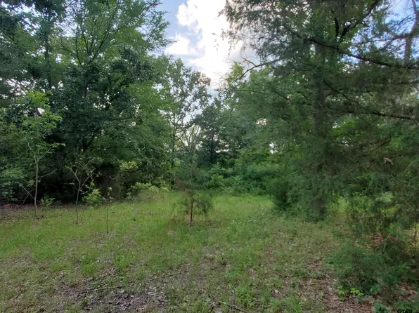 0 Private Road 6956, Alba, TX 75410