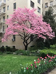 Rented by Bank Neary