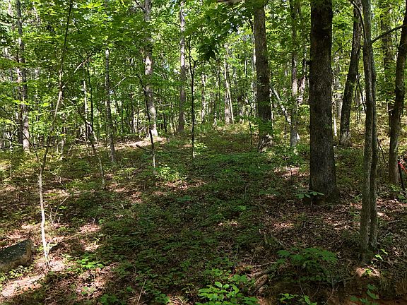 3rd image of LOT 183 Hillside Rd