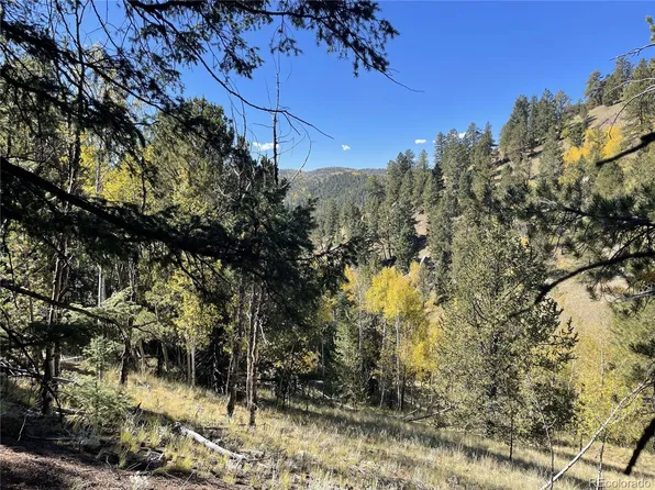 1520 & 1560 Pikes Peak Drive, Divide, CO 80814