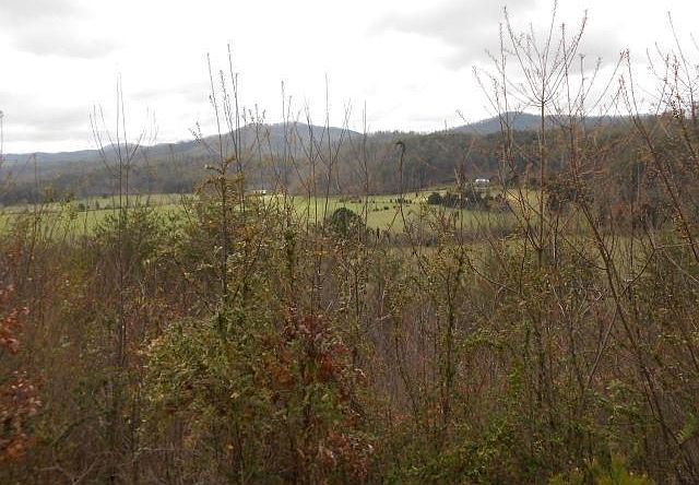 2nd image of 893 Dry Creek Rd