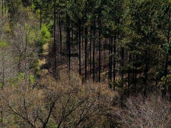 4th image of Attala Rd #4213