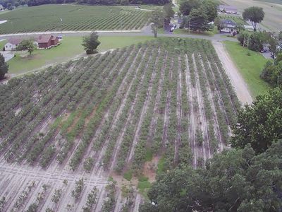 842 13th St, Hammonton, NJ, 08037